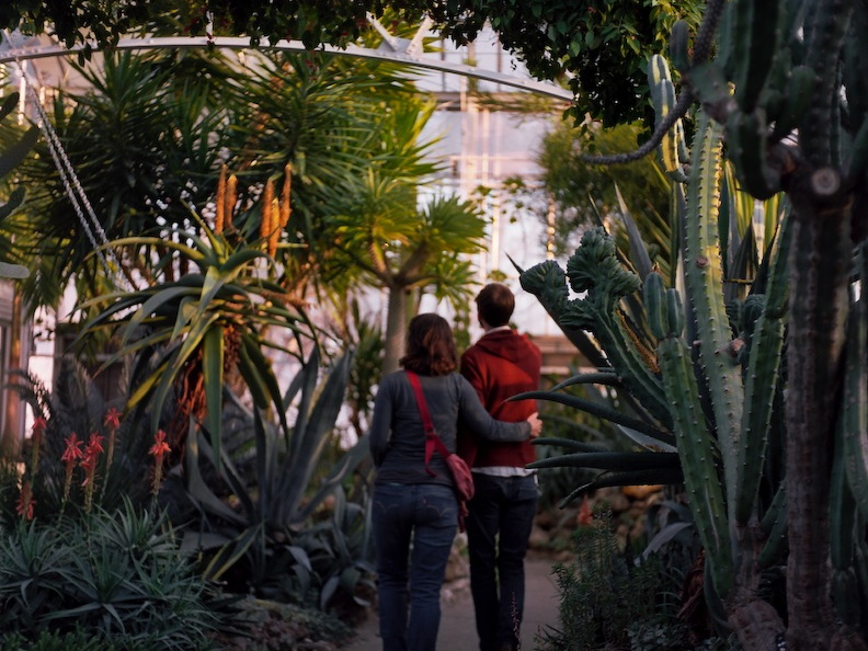 Krohn Conservatory